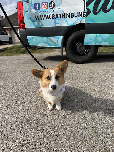 Bath N' Buns Mobile Pet Grooming - IE