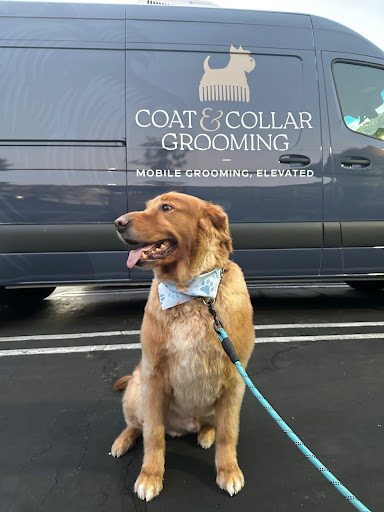 Coat & Collar Mobile Grooming