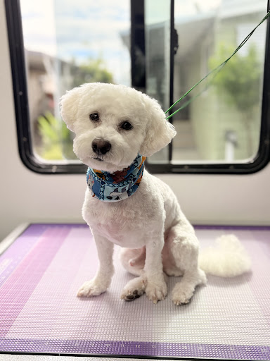 Ding Dong Mobile Pet Grooming