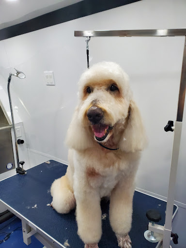 Fresh Paws Mobile Dog Grooming