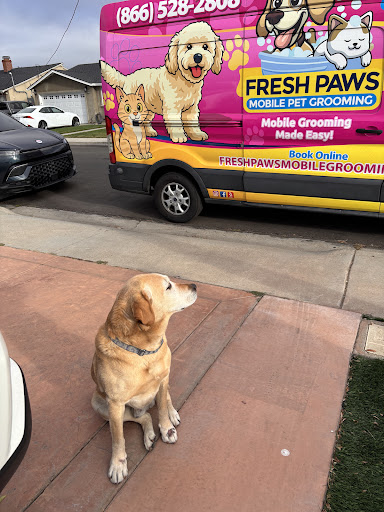 Fresh Paws Mobile Pet Grooming