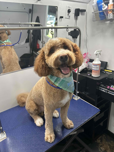 Groombuggy Mobile Dog Grooming