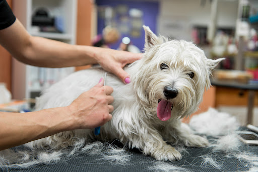 Happy Spa Dogs Mobile Grooming