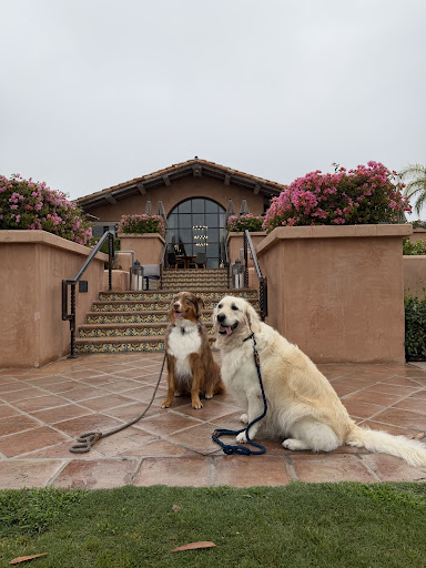 Mobile Dog Grooming - MC Groomer