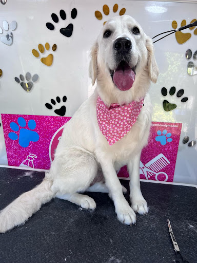 Pet Beauty Mobile Grooming