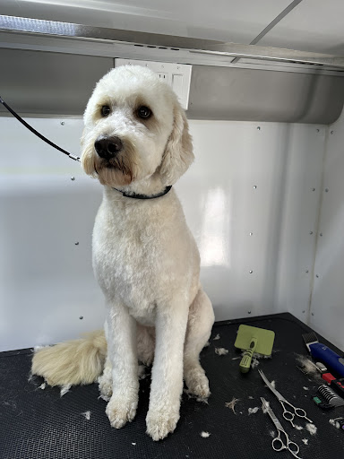 PetsWell Mobile Grooming