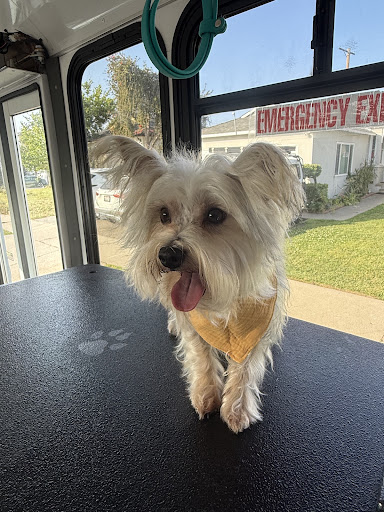 Ruff Cutz Mobile dog grooming