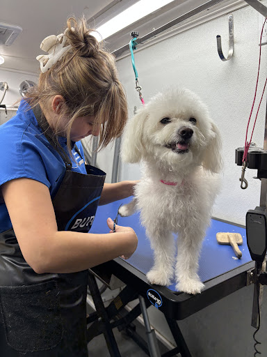 Zoomin Groomin